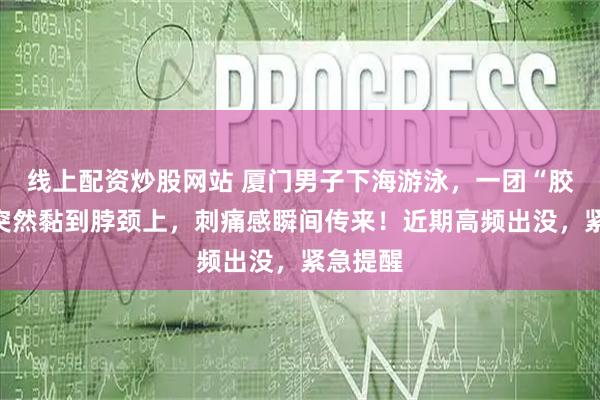 线上配资炒股网站 厦门男子下海游泳,一团“胶状物”突然黏到脖颈上,刺痛感瞬间传来!近期高频出没,紧急提醒